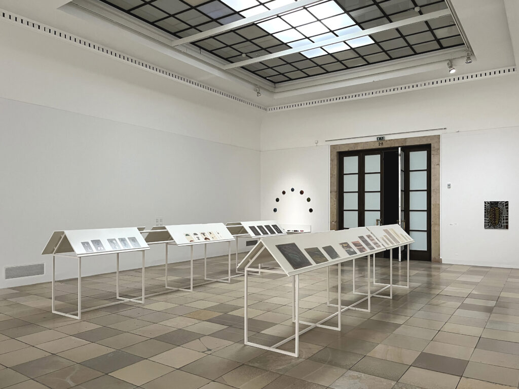 Haus der Kunst_Sandra Vasques_unique assemblage 09