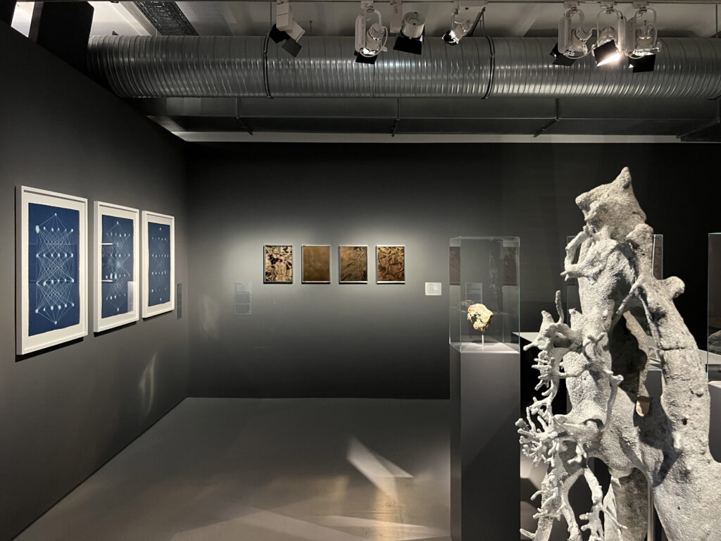 SCHIRN-AI- unique assemblage 04