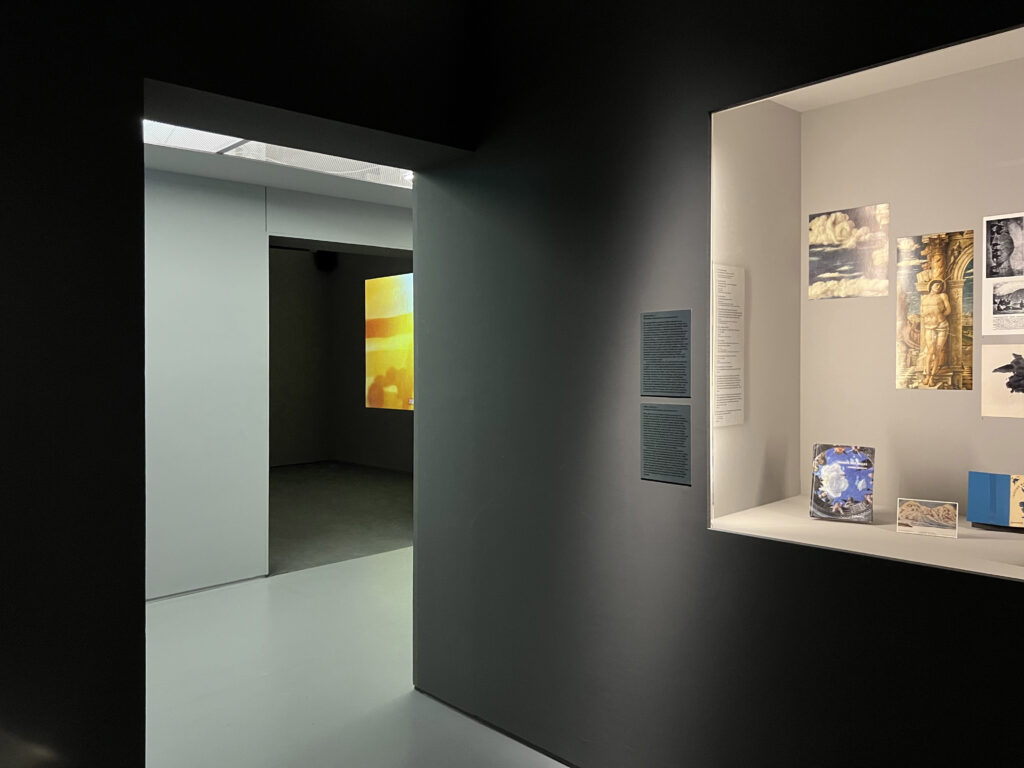 SCHIRN-AI- unique assemblage 06