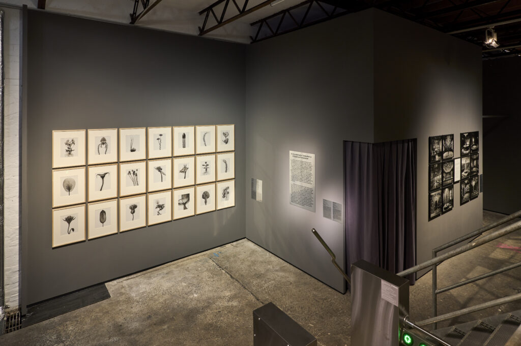 SCHIRN-AI-unique assemblage 25